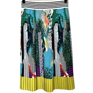 Lalipop Design Pleated Digital Abstract Multicolor A Line Skirt S